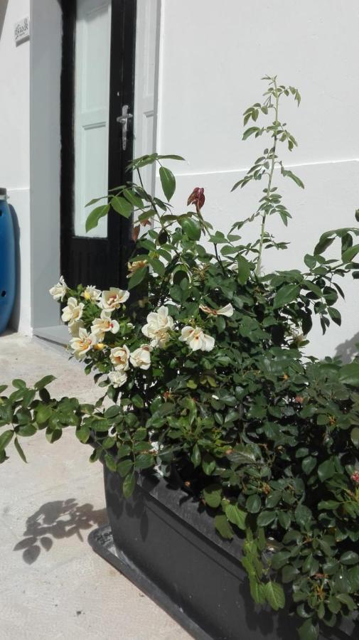 Only For Two Giumbabulla Hotel Ragusa Exterior photo